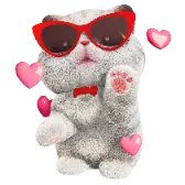 Kitten Kneading